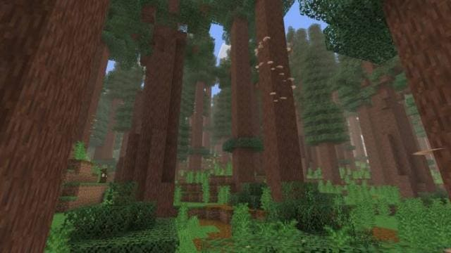 Большой пользовательский биом - Карта Minecraft PE